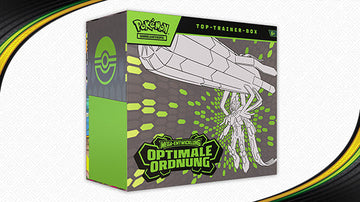 Top-Trainer-Box Optimale Ordnung