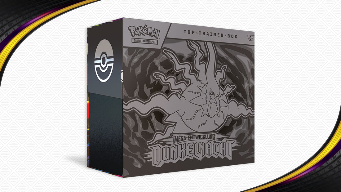 Top-Trainer-Box Dunkelnacht